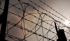 Close up of barbed wire againstthe bright sun: silhouette